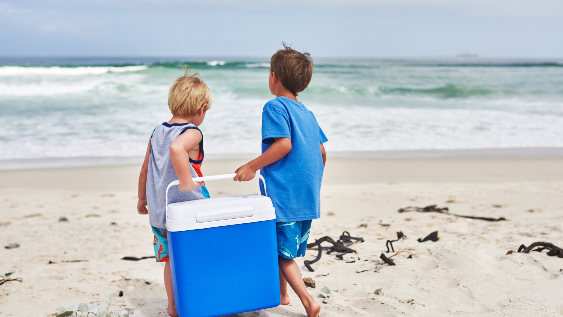 Cool bleiben – die besten Kühlboxen für den Sommer 