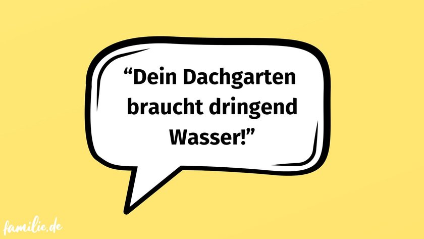 Dachgarten braucht Wasser