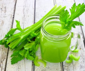 Sellerie in der Schwangerschaft – ein klares JEIN! 