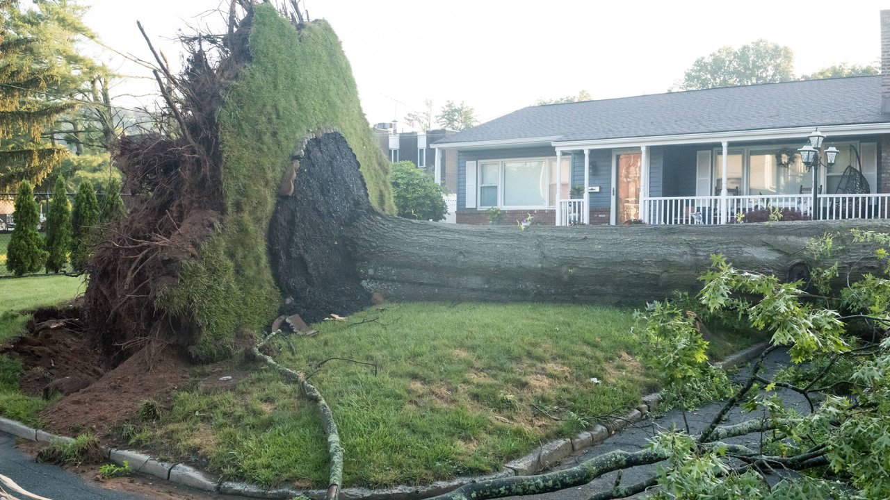 Ein Baum entwurzelt vor einem Haus in den USA