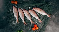 Geräucherte Forelle Haltbarkeit: Wie lange hält sich der Fisch?