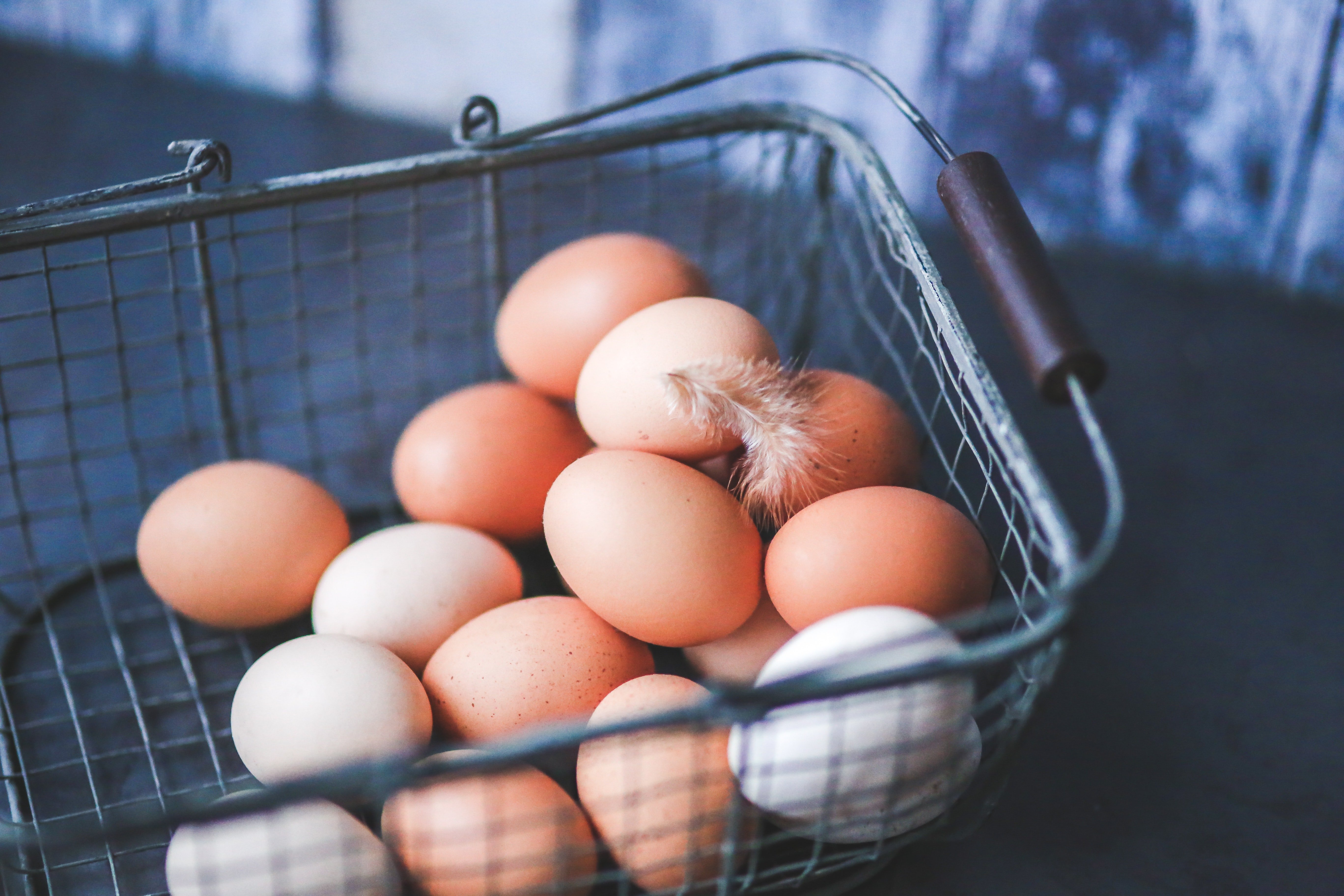 Eier In Der Schwangerschaft Das Gibt S Bei Schwangeren Zu