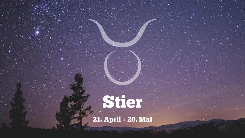 Stier