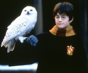 "Harry Potter"-Serie bald bei HBO? Was wir darüber schon wissen