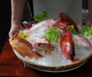 Makrele in der Schwangerschaft: Darf ich sie verzehren?