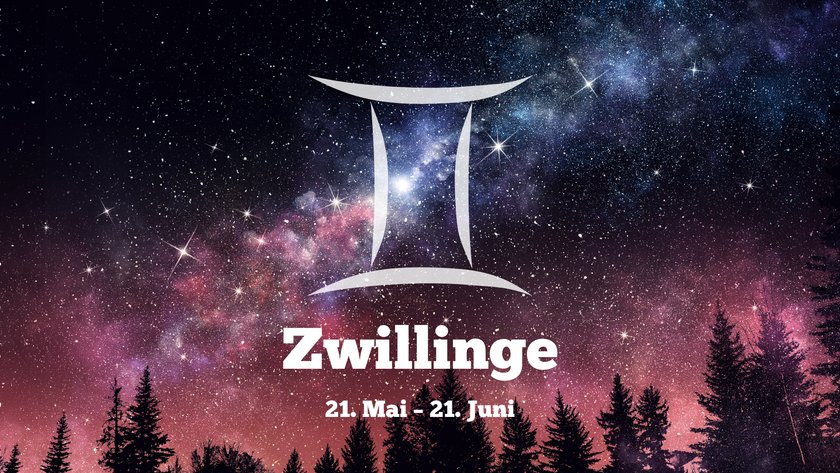 Zwillinge