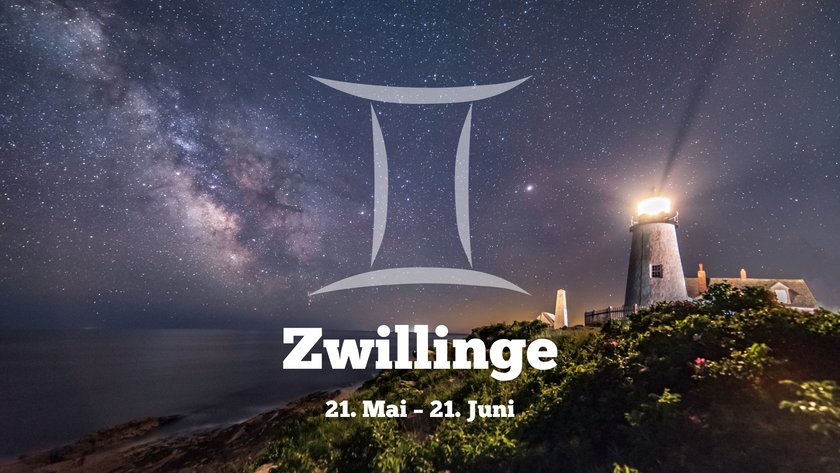 Zwillinge