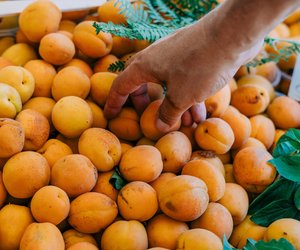 Aprikosen beim Stillen: Wie gesund sind sie in dieser Zeit?