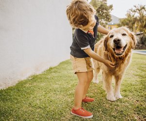 Tierfilme für Kinder: Neues aus unserer Tierwelt