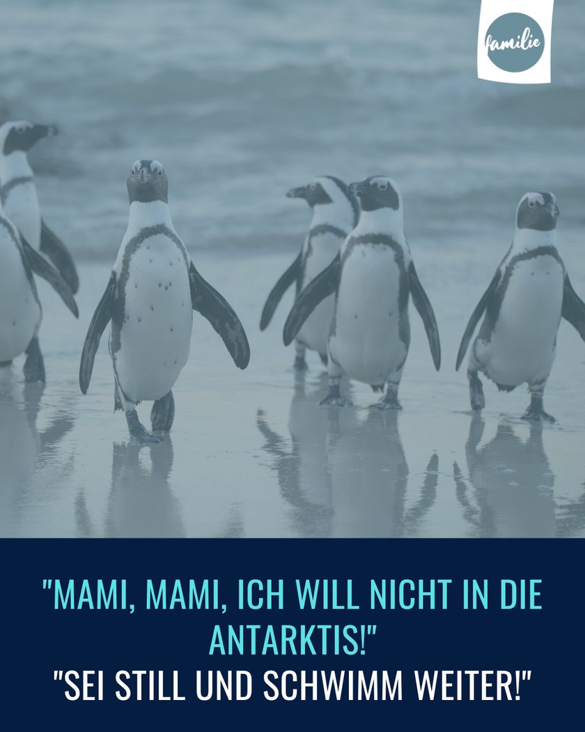Mami-Mami-Witze - Urlaub mal anders