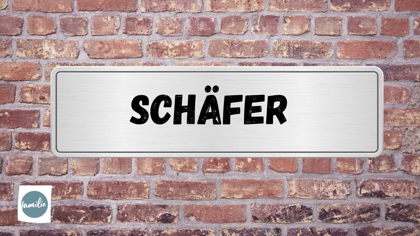 #11 Schäfer
