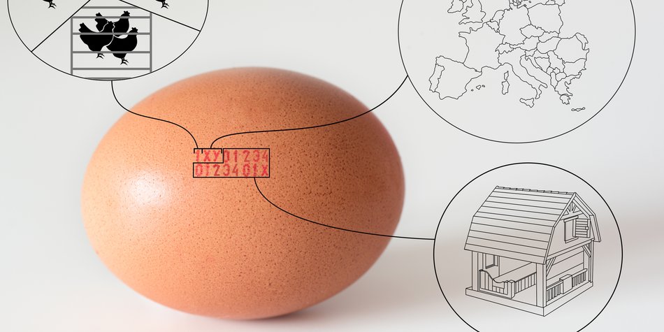 Was steht auf dem Ei? Diese Informationen liefert dir der Eier-Code