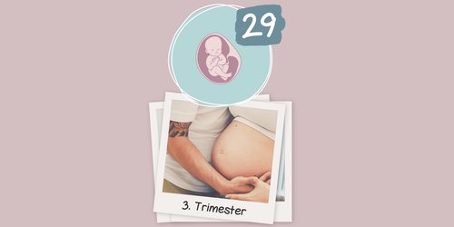 29. SSW: Dein Baby braucht mehr Platz und es ist Zeit für den 3. Ultraschall