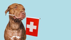Wie gut verstehst du Schweizerdeutsch? Teste dich mit diesen 11 Begriffen