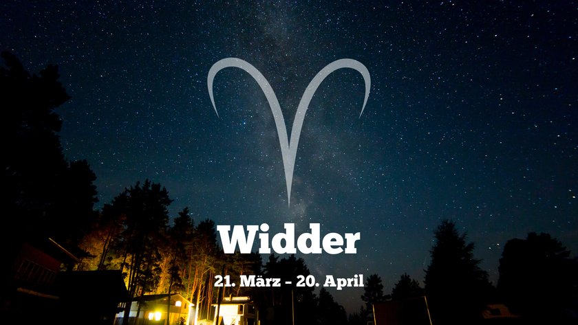 Widder