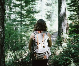 Brennnesseln ernten: So klappt's ohne Nesselschmerz