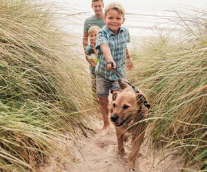 Hundefreunde aufgepasst: Das sind die besten Gadgets für den Sommerurlaub mit Hund