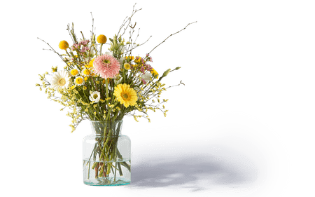 Blume2000 Blume2000
