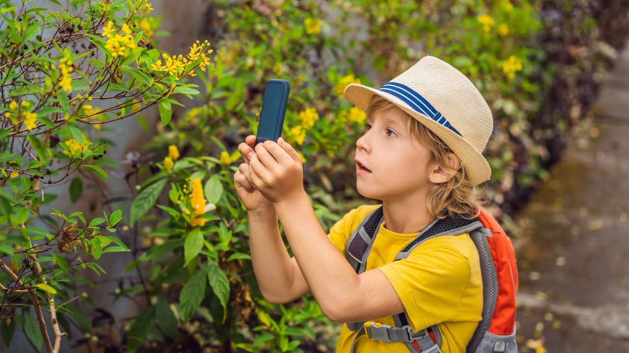 Schnitzeljagd-Aufgaben: Junge macht Bild von Pfanze mit Handy