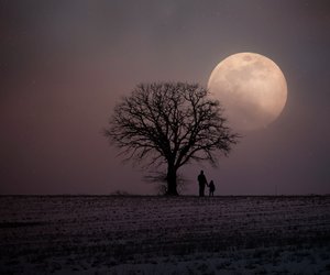 Dreht sich der Mond im Weltall und wie beeinflusst er die Erde?