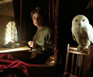 Magische Beleuchtung: Diese Hedwig-Leuchte von Amazon begeistert Harry-Potter-Fans
