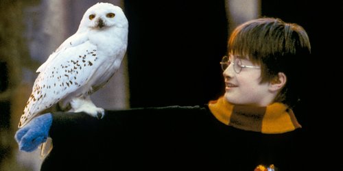 Harry Potter & die Tiere: Das magische Tierwesen-Quiz für Magier & Muggel