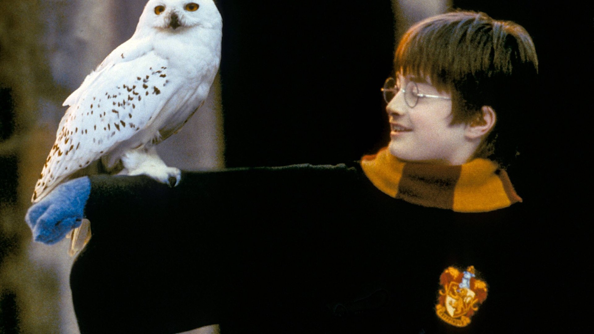 Harry Potter & die Tiere Das magische TierwesenQuiz für Muggel