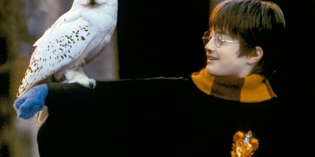 Harry Potter & die Tiere: Das magische Tierwesen-Quiz für Magier & Muggel