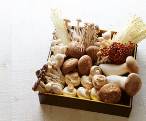 Pilze & Stillen: Worauf in der Stillzeit zu achten ist