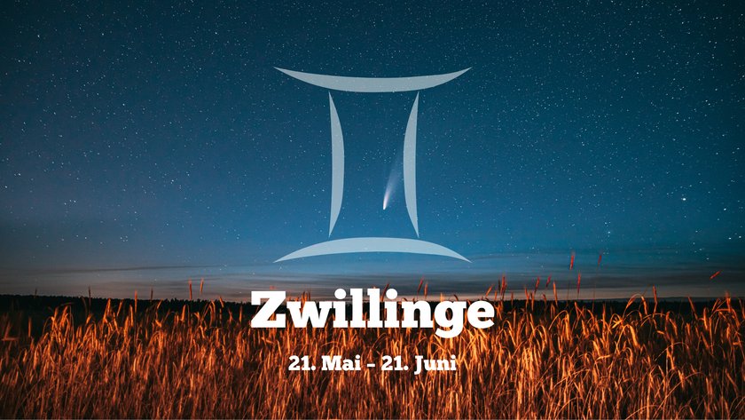 Zwillinge