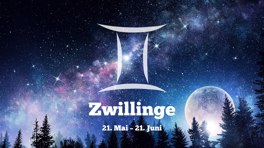 Zwillinge