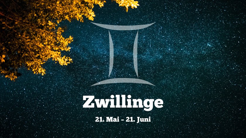 Zwillinge