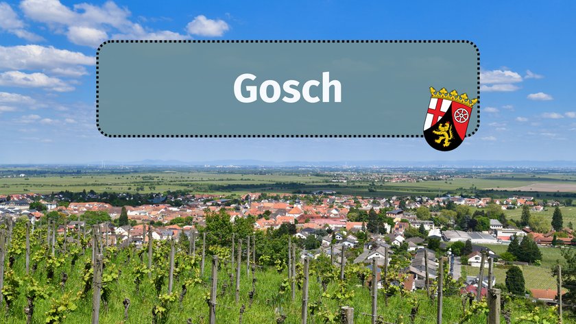 Gosch