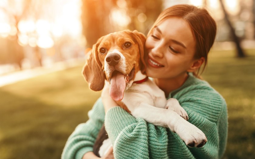 Lächelnde Frau mit Beagle im Park