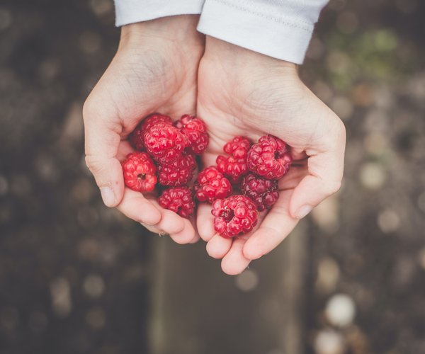 Sex in der Frühschwangerschaft Alle Infos für Paare