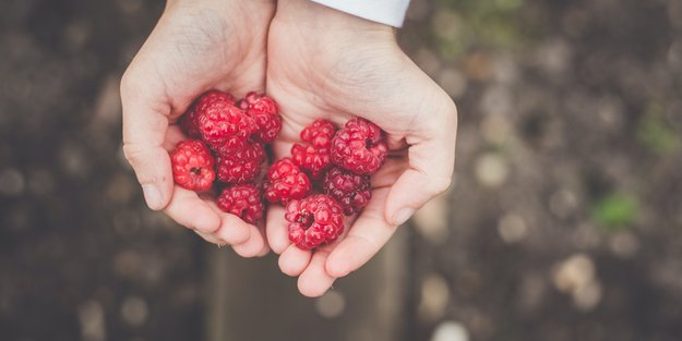 Himbeeren in der Schwangerschaft: Was sollte ich beachten?