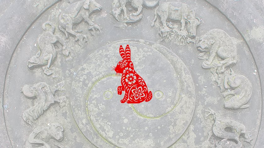 Hase
