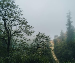 Diese Thriller fesseln dich wie „The Housemaid“ von Freida McFadden!