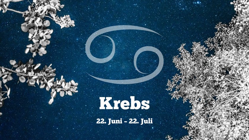 Krebs