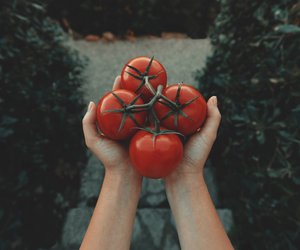 Wie lange sind Tomaten haltbar? So erkennst du frische Tomaten