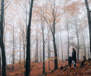 Wie entsteht Nebel? Für Kinder einfach erklärt
