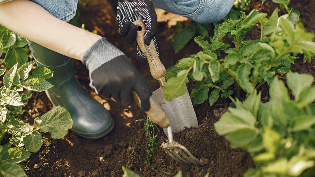 Im eigenen Garten darf man nicht automatisch tun und lassen, was man will.