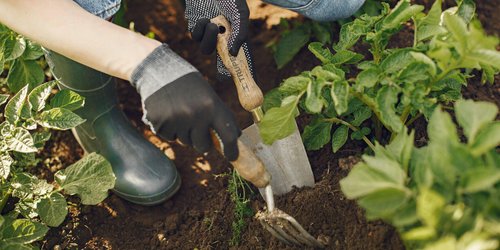 Die Gartensaison startet: Diese Regeln solltest du kennen und beachten