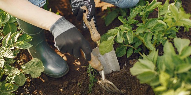 Gartenzeit startet wieder: Was ihr über die wichtigsten Vorschriften wissen müsst