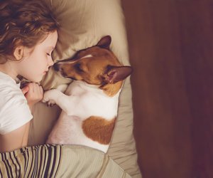 Perfekt zum Vorlesen: Knuffige Kinderbücher mit Hunden