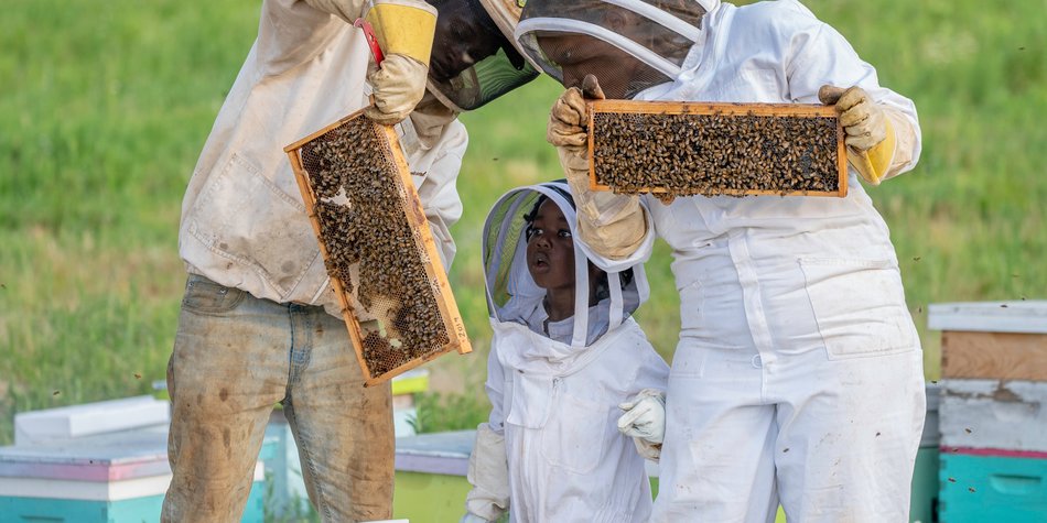 Wie entsteht Honig? Spannendes Wissen für Kinder