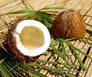 Tropische Frucht: Wie lange ist die Haltbarkeit der Kokosnuss?