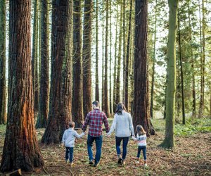 Familienfotos in der Natur: Tolle Ideen von Pinterest