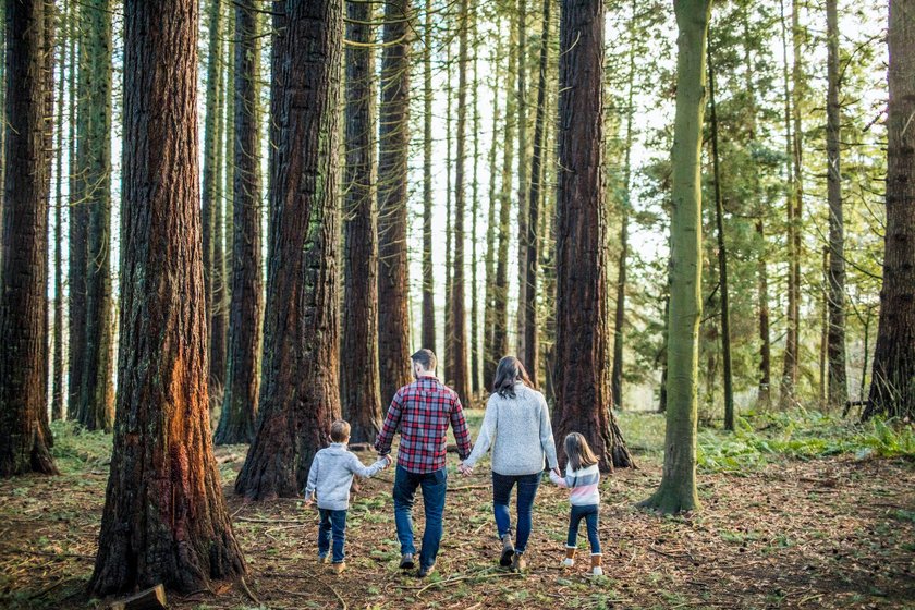  rear view of mother and father enjoying time with their kids outdoors. Surrey, BC, Canada ,model released, Symbolfoto PUBLICATIONxINxGERxSUIxAUTxONLY CRJDIP200224B-310134-01