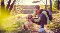 Zeckenschutz für Hunde: Das wirkt zuverlässig gegen die kleinen Biester